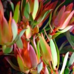 dscf3070
