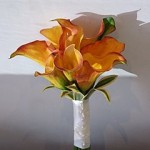 dscf5697 Cala Lilies ^