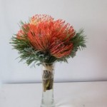 dscf7238 Pin Cushion ^