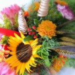 pict8379 Sund Flower ^