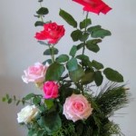 pict8945 Garden Roses ^