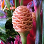 pict9658 Beehive Ginger ^