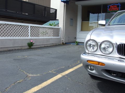 flowers-in-parking.jpg