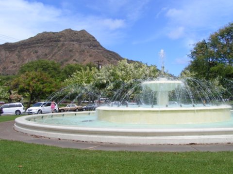 shower-tree-kapiolani-park