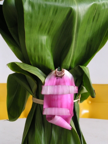 banana-ti