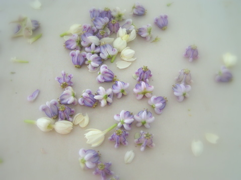 crown_pikake