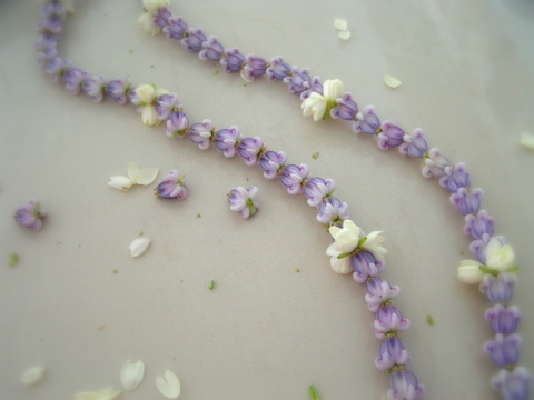 Lei Pikake
