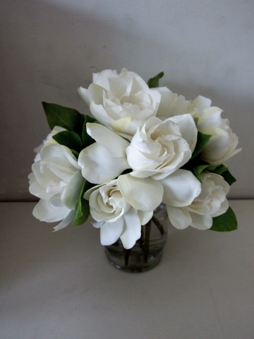 Gardenia