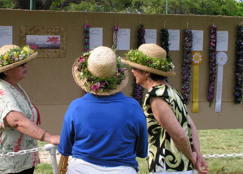 may day lei contest talk